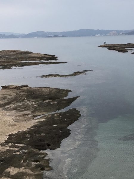 年内最後のエギングで・・・