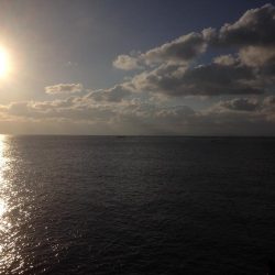 サワラゲットー