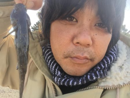 久しぶりの城南島