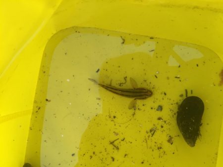 城南島行ってきました。