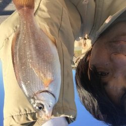 海タナゴ。、爆釣☆