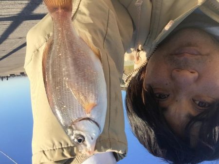 海タナゴ。、爆釣☆