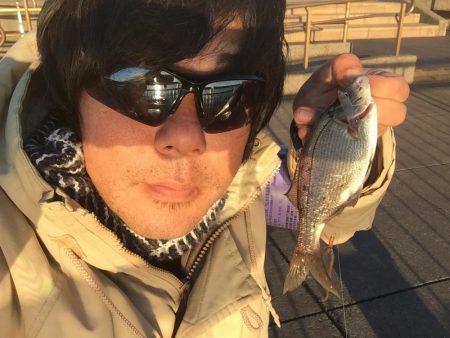 またまた海タナゴ☆