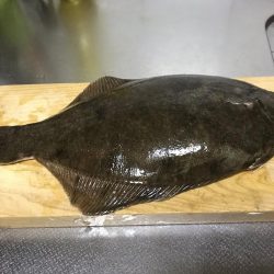 青物のはずが。