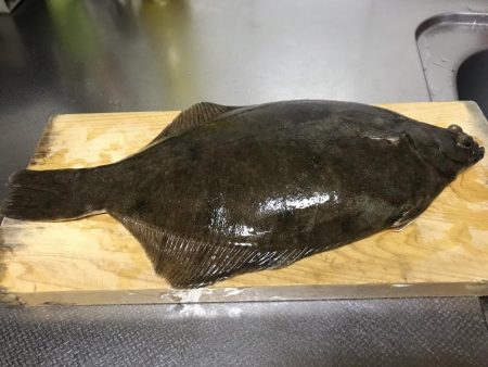 青物のはずが。