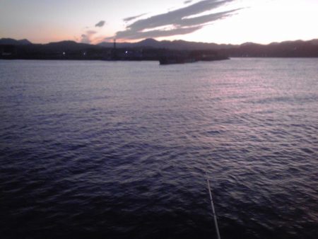 ヘダイ、グレ、小アジ等