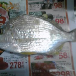 小アジ、カイズ、ガシラ等