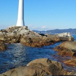 フカセで石鯛37cm・・・・