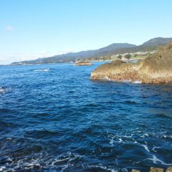 グレは37cmアオリイカ・小さい・・・・・・