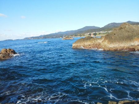 グレは37cmアオリイカ・小さい・・・・・・