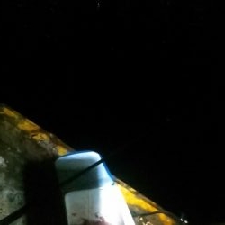 なぎさ公園でアジ、太刀魚狙い