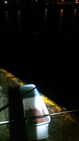 なぎさ公園でアジ、太刀魚狙い