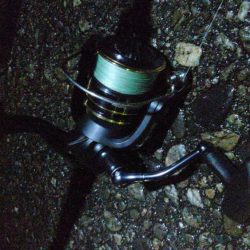 タチウオ もう1本