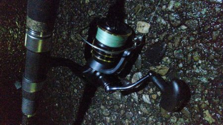 タチウオ もう1本