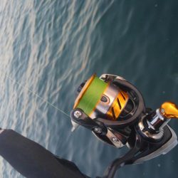 ガシリング(ガシラ×5)