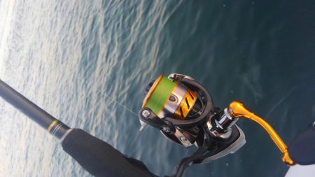 ガシリング(ガシラ×5)