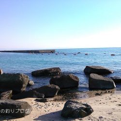 カサゴ沢山ゲット！