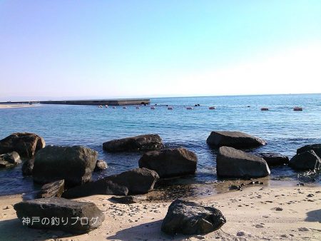 カサゴ沢山ゲット！