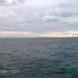 紀州釣りで良型チヌゲット！