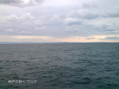 紀州釣りで良型チヌゲット！