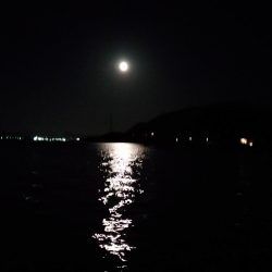 嫁の初太刀魚に完敗・・・