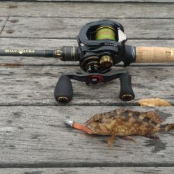 アイナメライトワインド