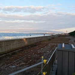 大きいタチウオ１匹