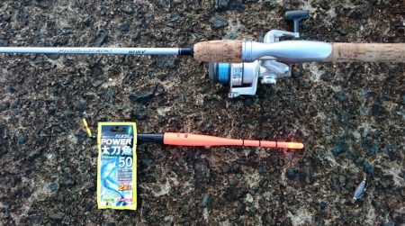 ◯極寒&極上タチウオ