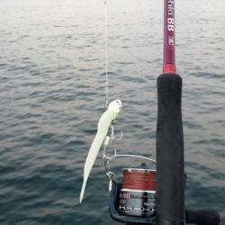 ⚫渋い中タチウオ３匹