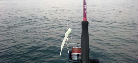 ⚫渋い中タチウオ３匹