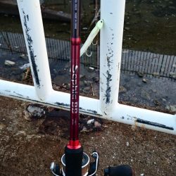 ◯サビキ&タチウオ