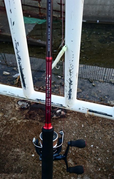 ◯サビキ&タチウオ