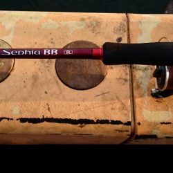 ◯極寒タチウオ釣り