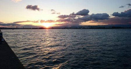 ⚫かもめ大橋タチウオ調査