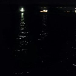 ◯湾奥タチウオも終了か！？