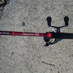 ◯湾奥タチウオ２匹