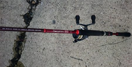 ◯湾奥タチウオ２匹