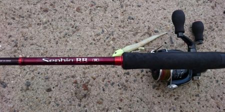 今ｼｰｽﾞﾝ最後の１匹か！？