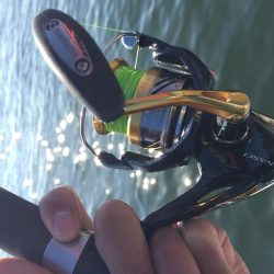 タチウオオンリー