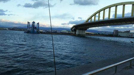 爆風の中釣り納めに