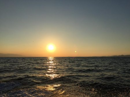 鯛、アジ、ガシラ