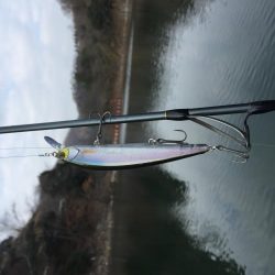 冬のランカーバス