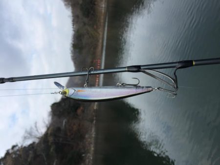 冬のランカーバス