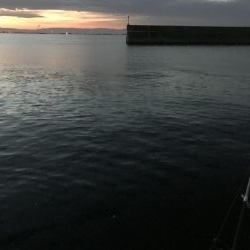 パワーシャッドどこまで使えんねん