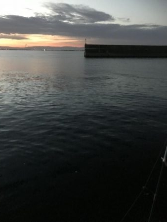 パワーシャッドどこまで使えんねん