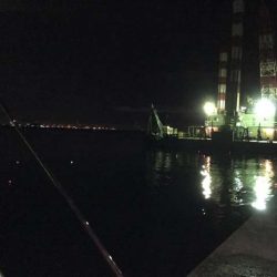 西宮ケーソンでドラゴン…に一歩及ばず(^^;