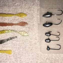 アジ探しからの悶絶！！