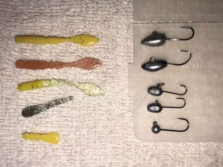 アジ探しからの悶絶！！