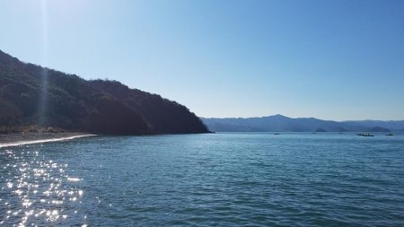 まだ居ました。