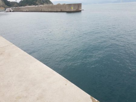 五目釣り ~石ゴカイの強みを再確認~